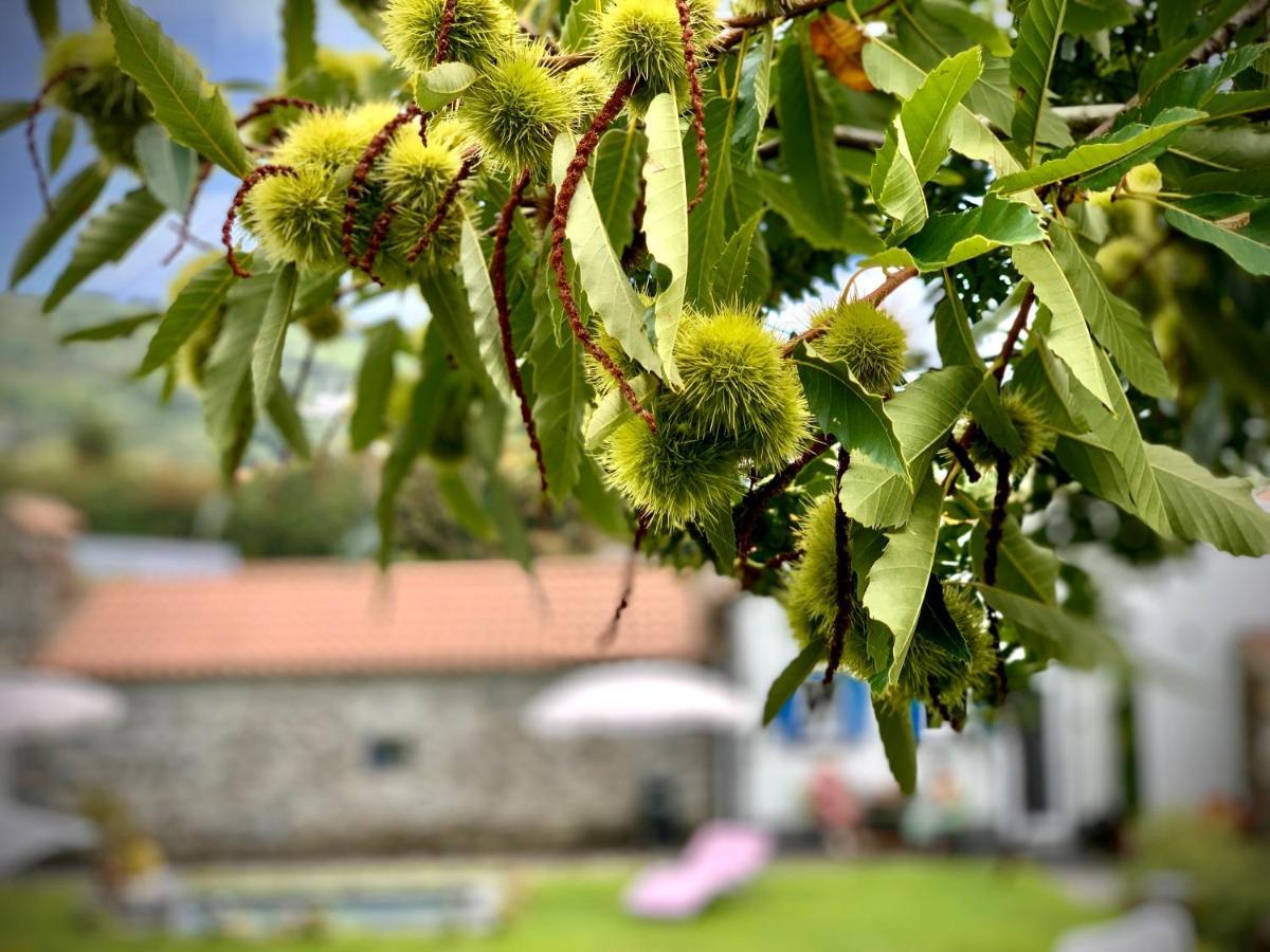 Casa Do Priolo - Villaverde Azores Feteiras Zewnętrze zdjęcie